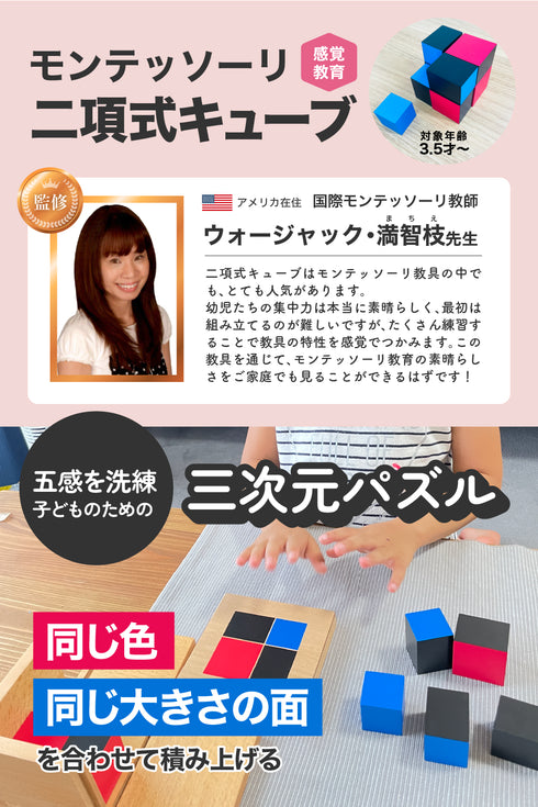 【セット】二項式キューブ・三項式キューブ