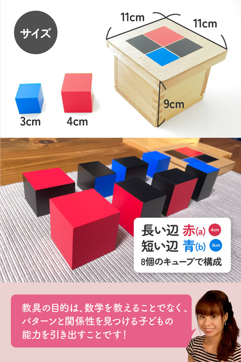 二項式キューブ