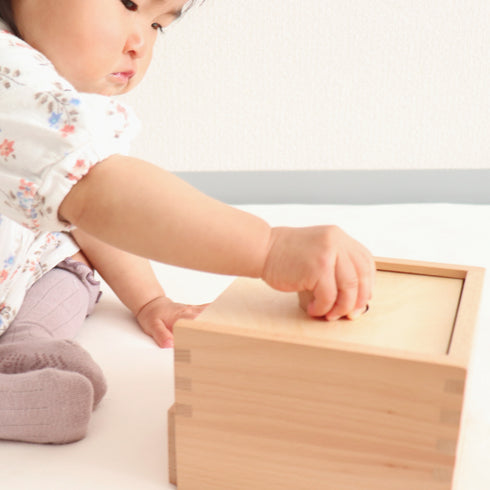 木製ぽっとんおとし