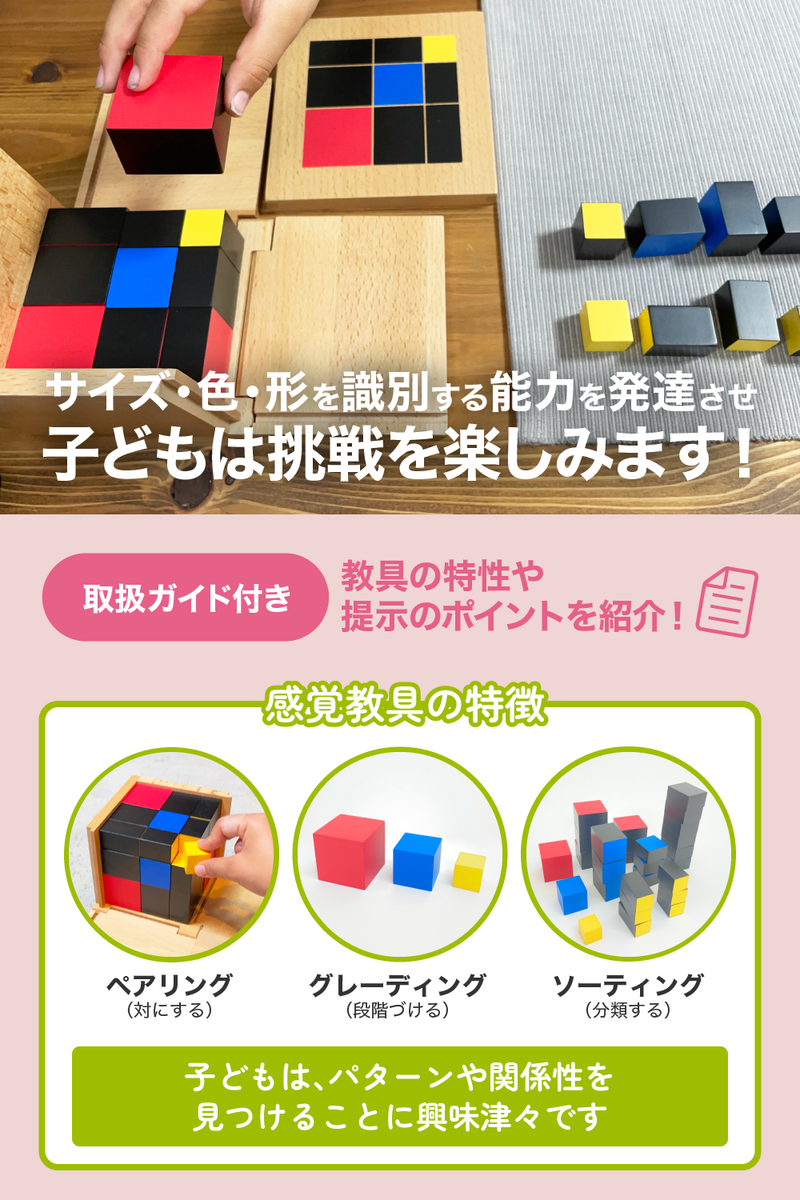 モンテッソーリ教育 理論と実践 第3巻感覚教育 モンテッソーリ教育 理論と実践 第3巻感覚教育 モンテッソーリ