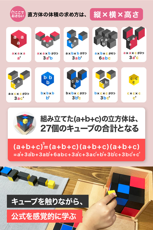 【セット】二項式キューブ・三項式キューブ