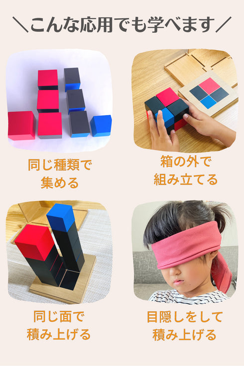 【セット】二項式キューブ・三項式キューブ