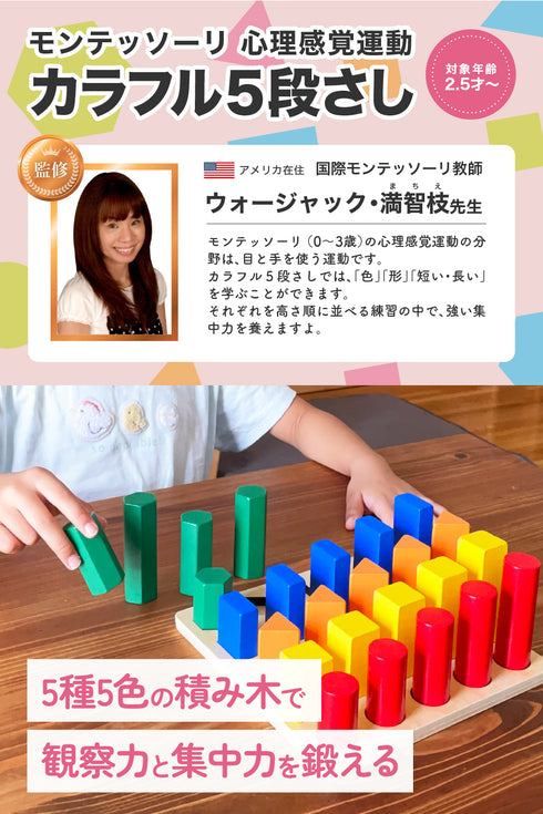 カラフル5段さし